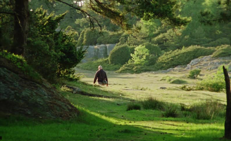 Man hiking in a natural environment with trees outdoors during the day