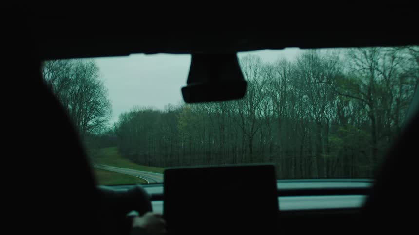 Interior view of a car with a person driving down a narrow road with trees around