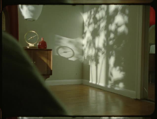 Interior design of a room in a house with reflection of sunlight and shadows of trees reflected on a white wall