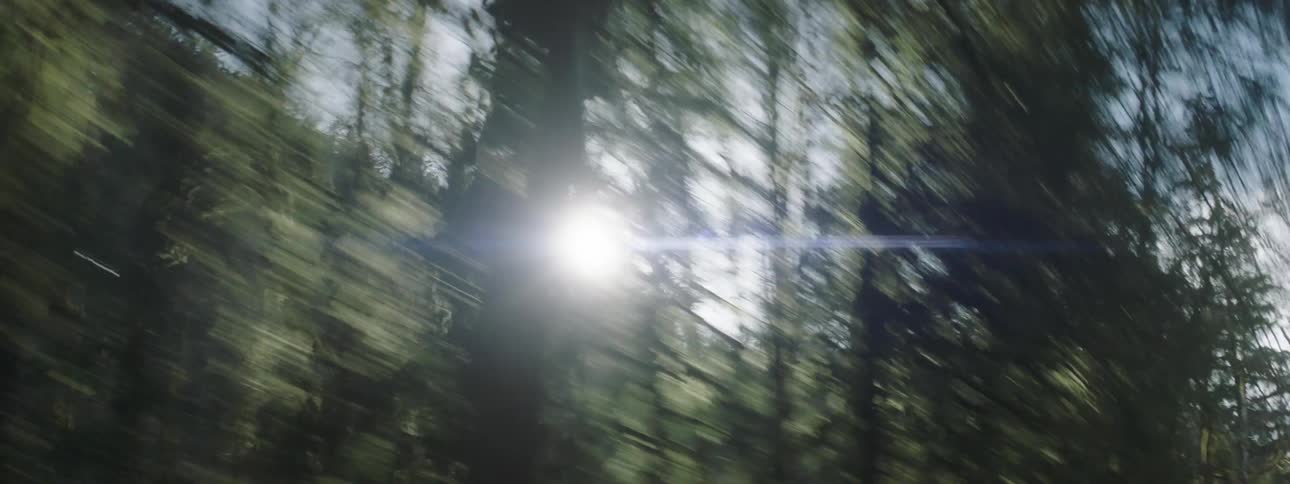 The sun is shining through the trees