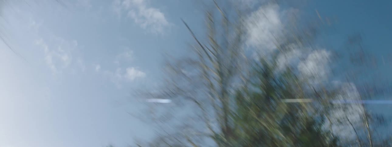 Tree tops and partially cloudy blue sky at midday with a visible lens flare