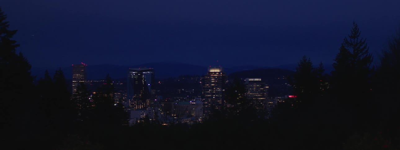 Panoramic view of a hill with silhouette of trees and in the background a metropolis illuminated at night
