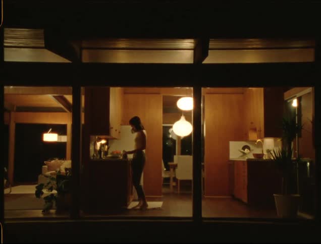 Exterior view at night of a mirrored house and a woman running from a room to the kitchen
