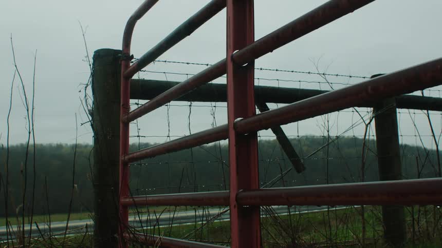 A wooden fence with a small iron gate in a wet grass environment