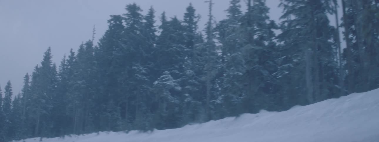 Scenery with conifers around and with snow on a cloudy day