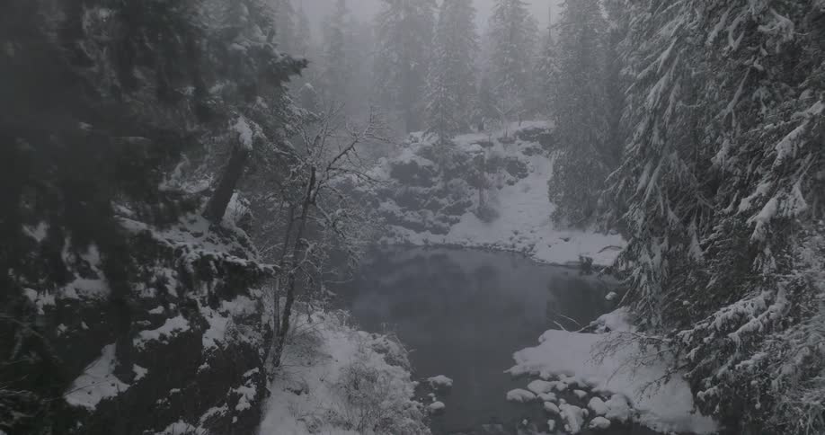 Lake in a forest on a day with snowstorm