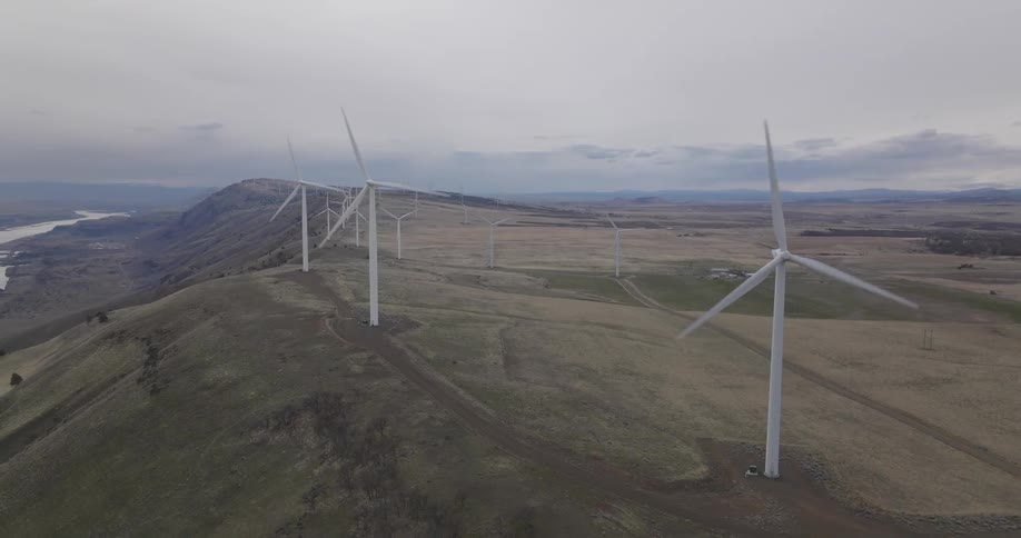 Windmills line the shore