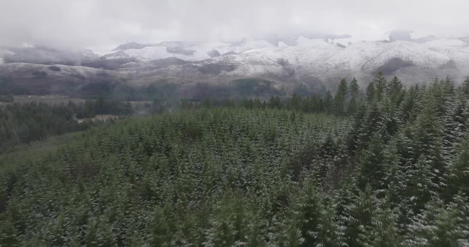 A rural community tucked into a space between a forest and a mountain range