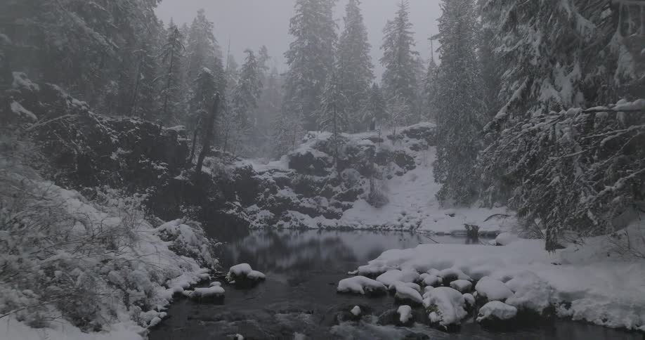A narrow river running through a forest at winter