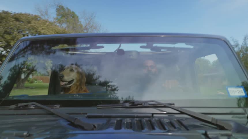 Man driving his car next to his dog in the front seat