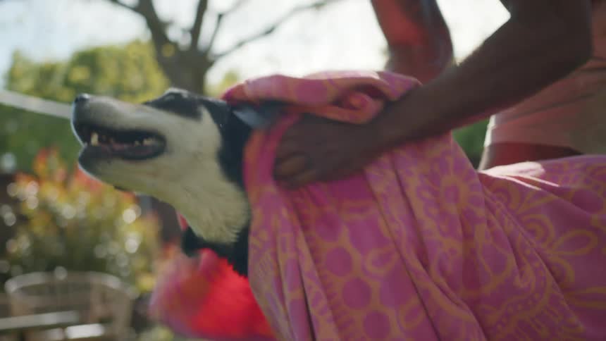 Hands of a man with a towel drying his dogs body in an outdoor environment