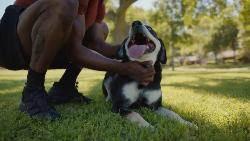Man crouching down and petting his dog who is lying on the lawn of an outdoor park