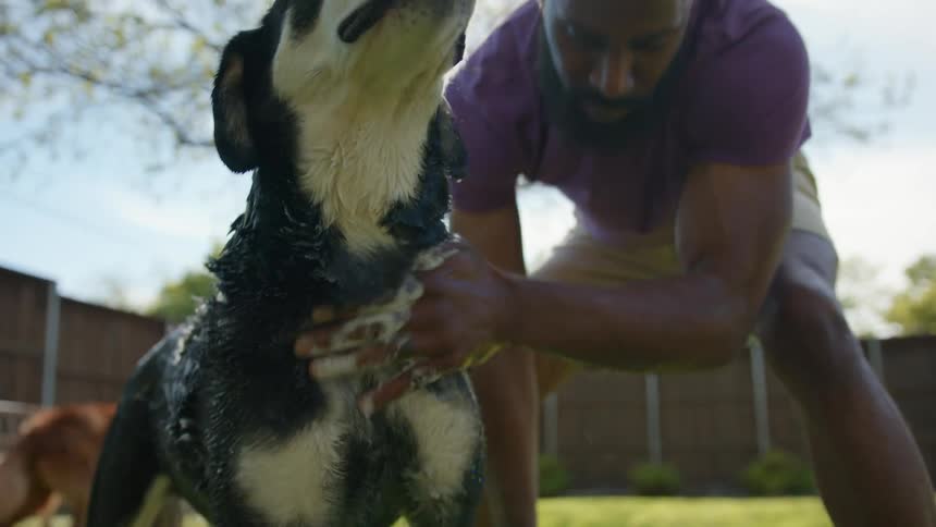 A man is washing his dog in the yard