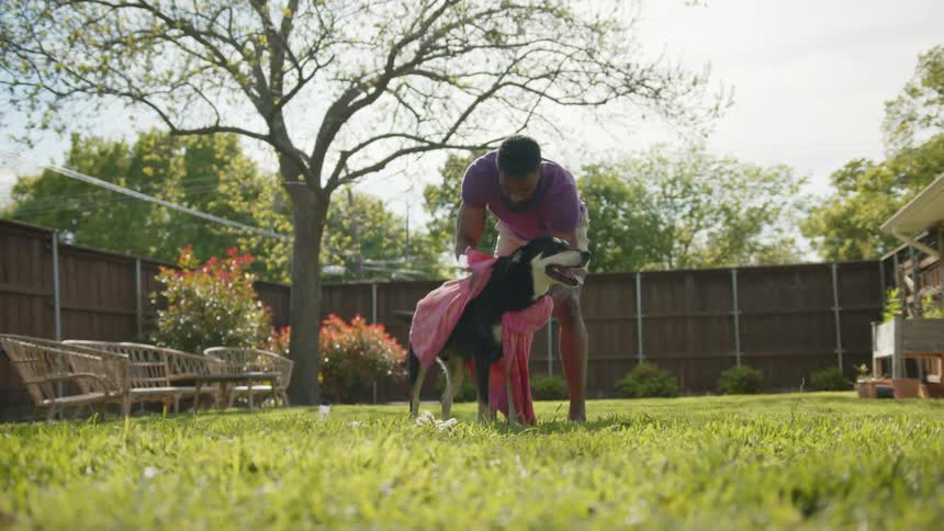 Man in the backyard with a pink towel drying his dogs body during the day