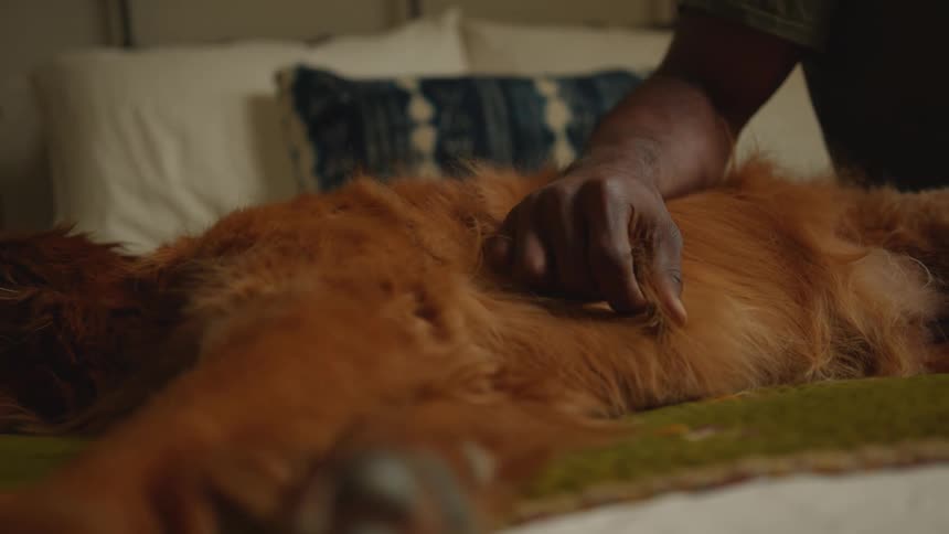 Man sits on bed while petting a dog
