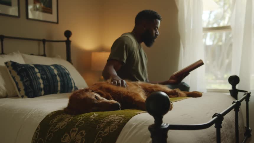 A man pets his tired dog while reading a book in bed