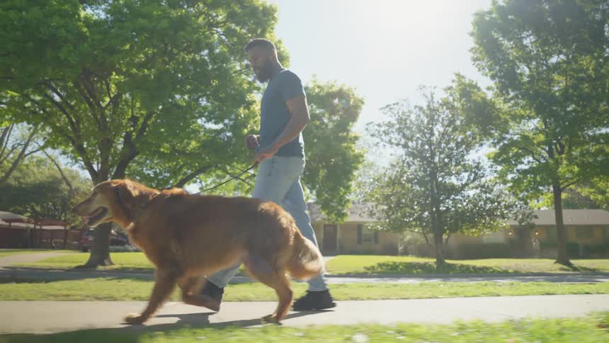 A man is walking his dog