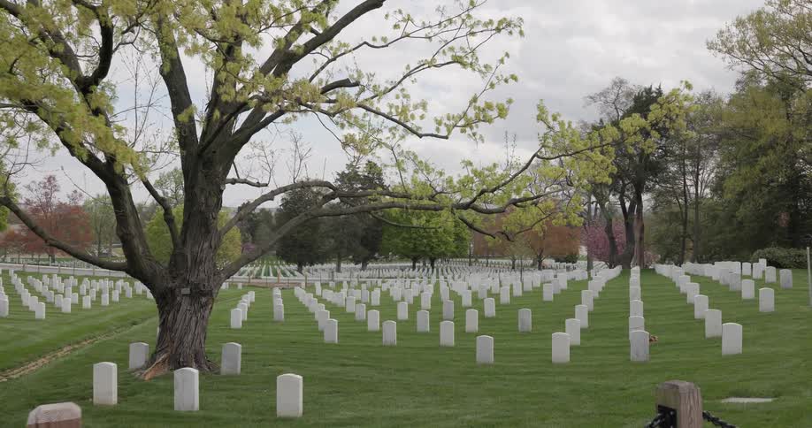 Small graves fill the cemetery