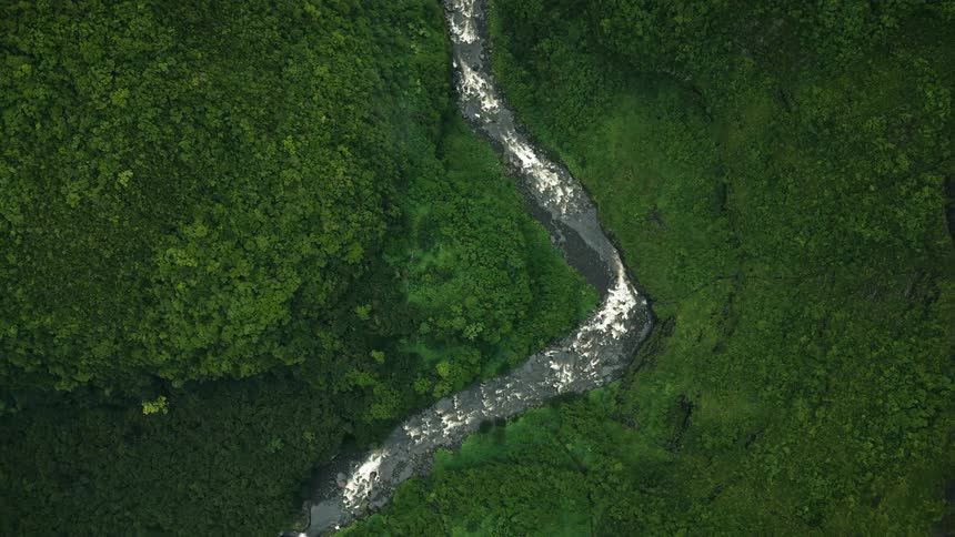 An aerial clip of a river in the woods