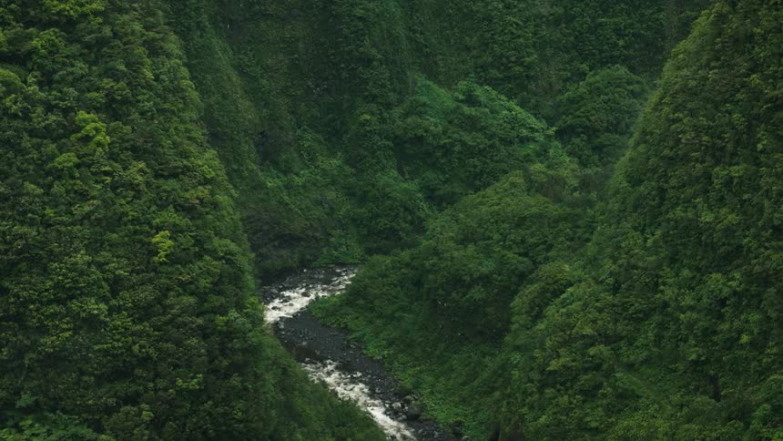 Forested mountain ranges with a river flowing through the middle