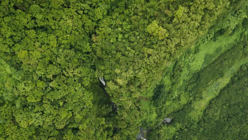 Aerial scenery of a forested mountain with a waterfall