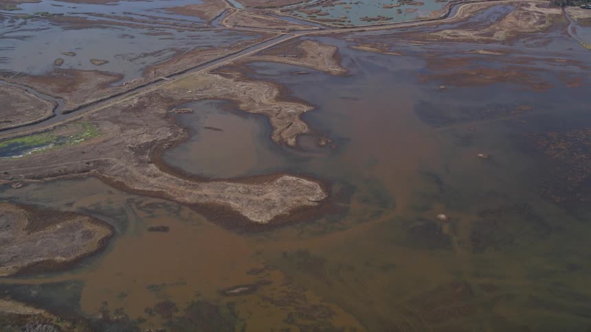 Rivers create a swampy area