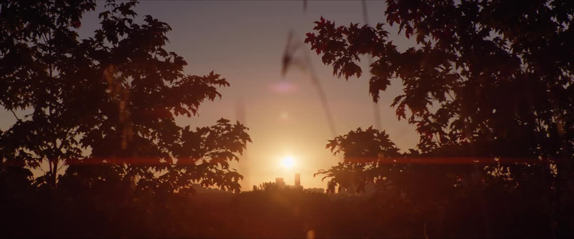The sun is setting behind the trees