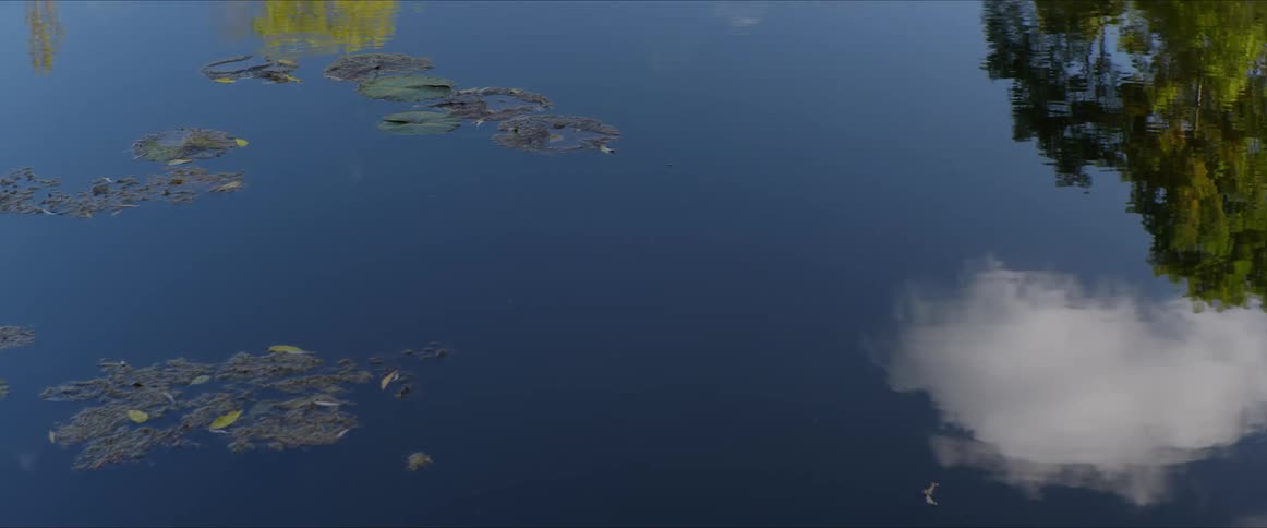 A still water surface reflecting trees and sky