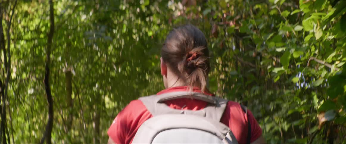 Back view of a woman with a backpack walking in a forest