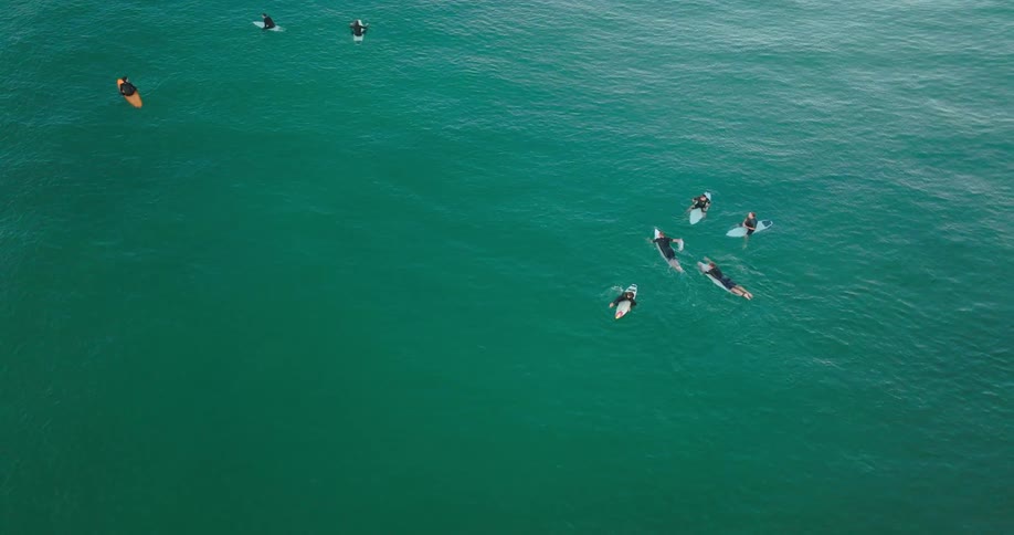 Surfers are paddling on their boards into the water