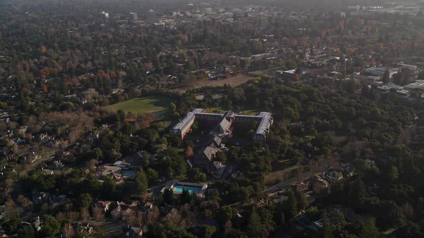Trees surround the suburbs