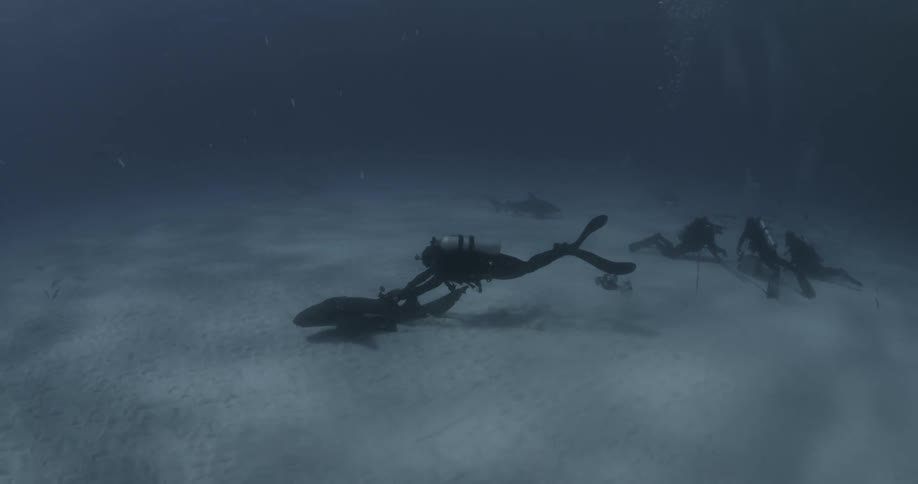 Scuba divers swim with sharks
