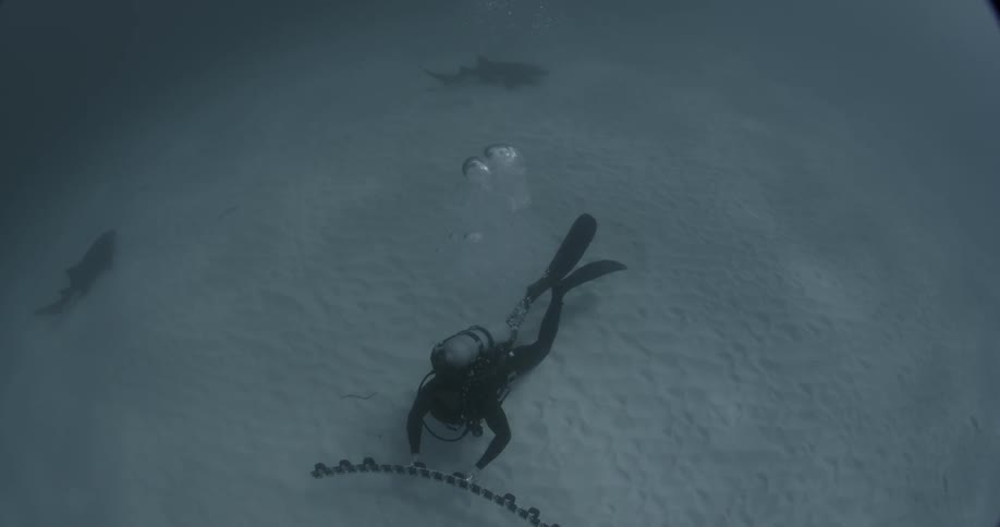 A diver is working on the bottom of the ocean and surrounded by sharks