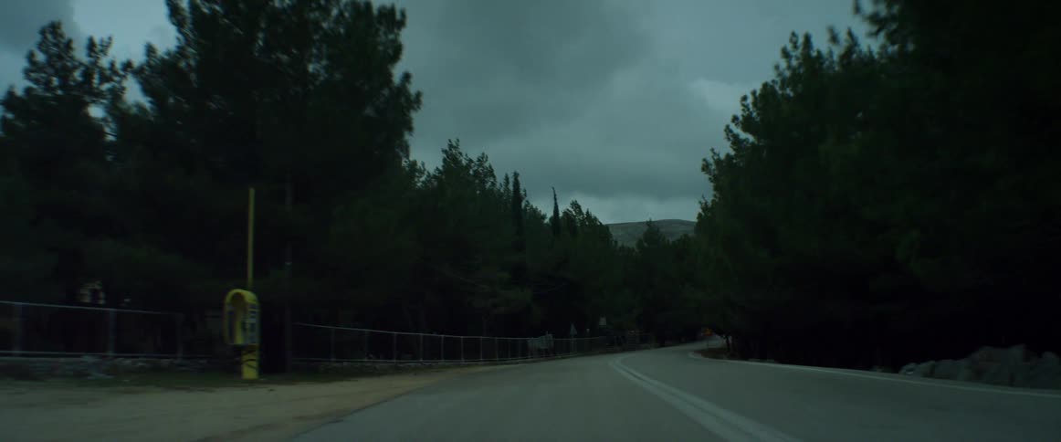 A vehicle drives on a tree-lined road