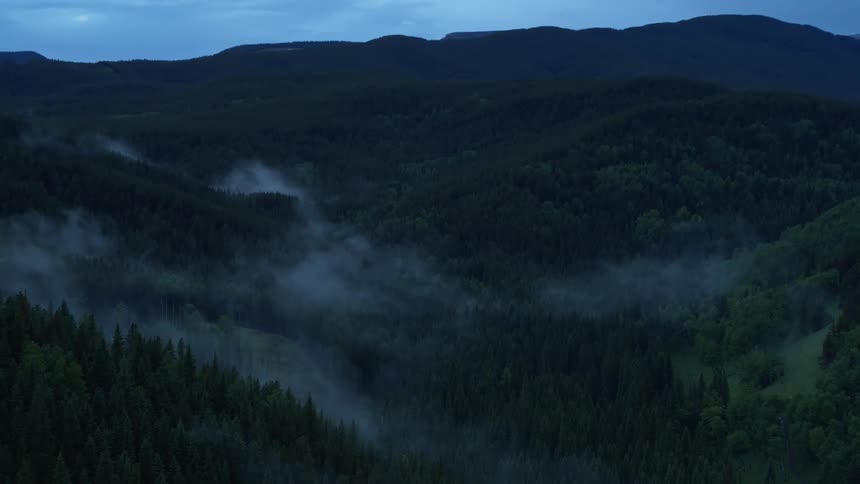 A misty forest at dusk with low clouds settled between the trees