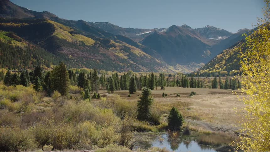 Past the forest is a mountain range