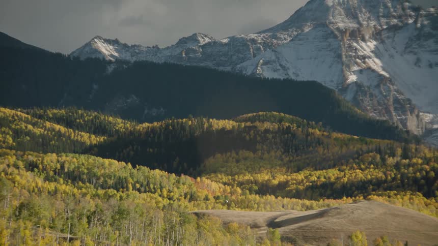 The forest leads to the mountain range