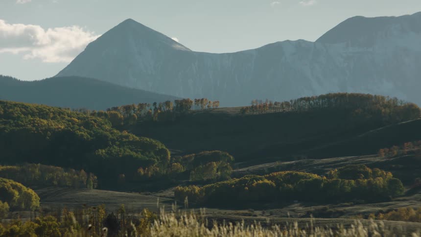 A landscape of hills full of trees and in front the grass moving with the wind