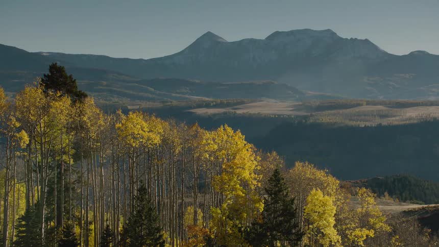 A forest near plains and a mountain range