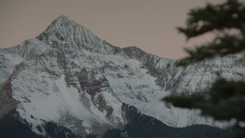 A tree gives way to a large mountain range