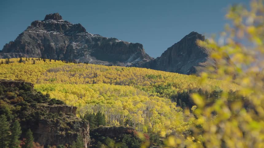 A mountain with a rugged peak towers over a forest of yellowleaved trees under a clear blue sky