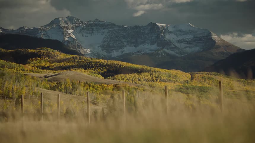 Grass waves in the wind with majestic mountains covered in snow in the horizon