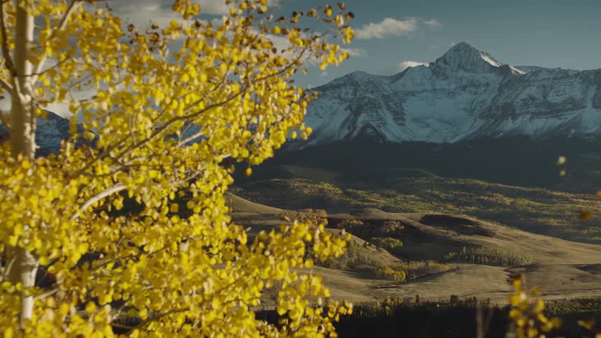 A valley with mountains in the background