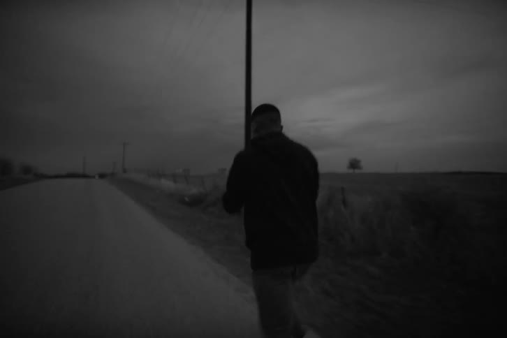 A young boxer running on a road in the countryside