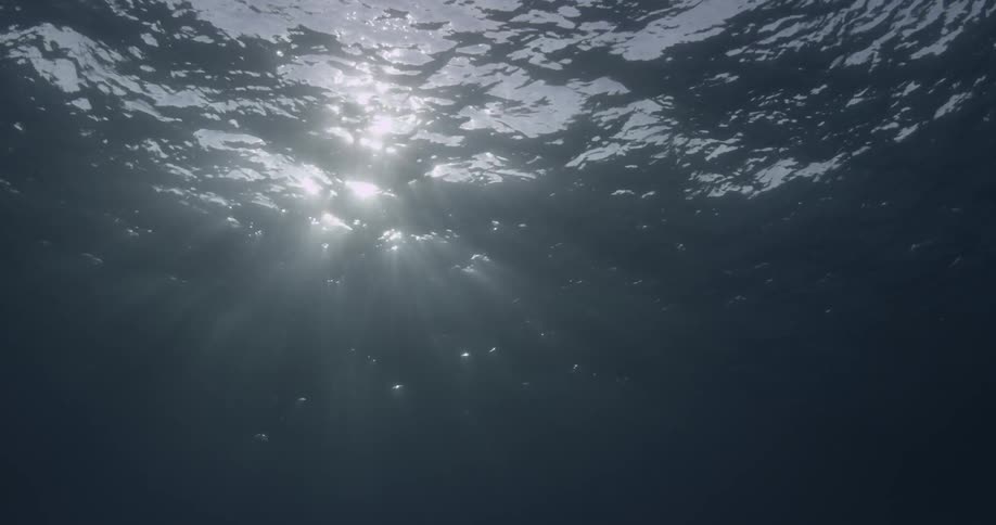 Sunlight shines through the ocean surface