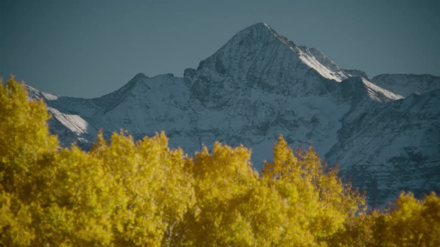 A mountain with a rugged peak towers over a forest of yellowleaved trees