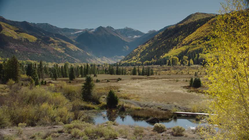 A wide clip of a mountainous woods