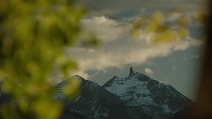 Branches and leaves of a tree in the foreground and snowy mountain cliffs in the background