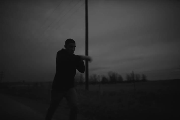 A boxer running on a road on the countryside at night