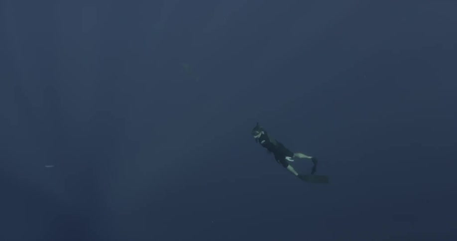 A person is scuba diving in dark waters
